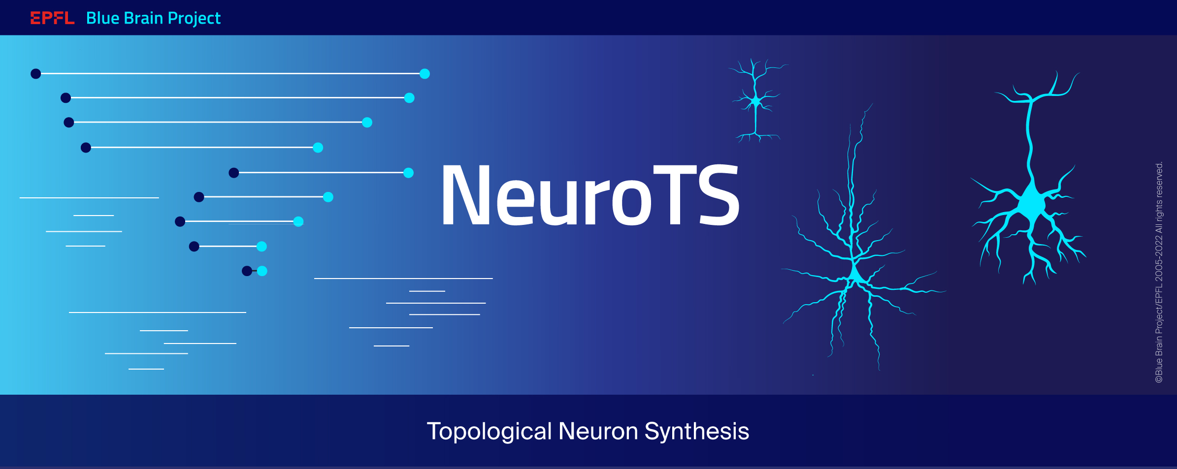 _images/BBP-NeuroTS.jpg
